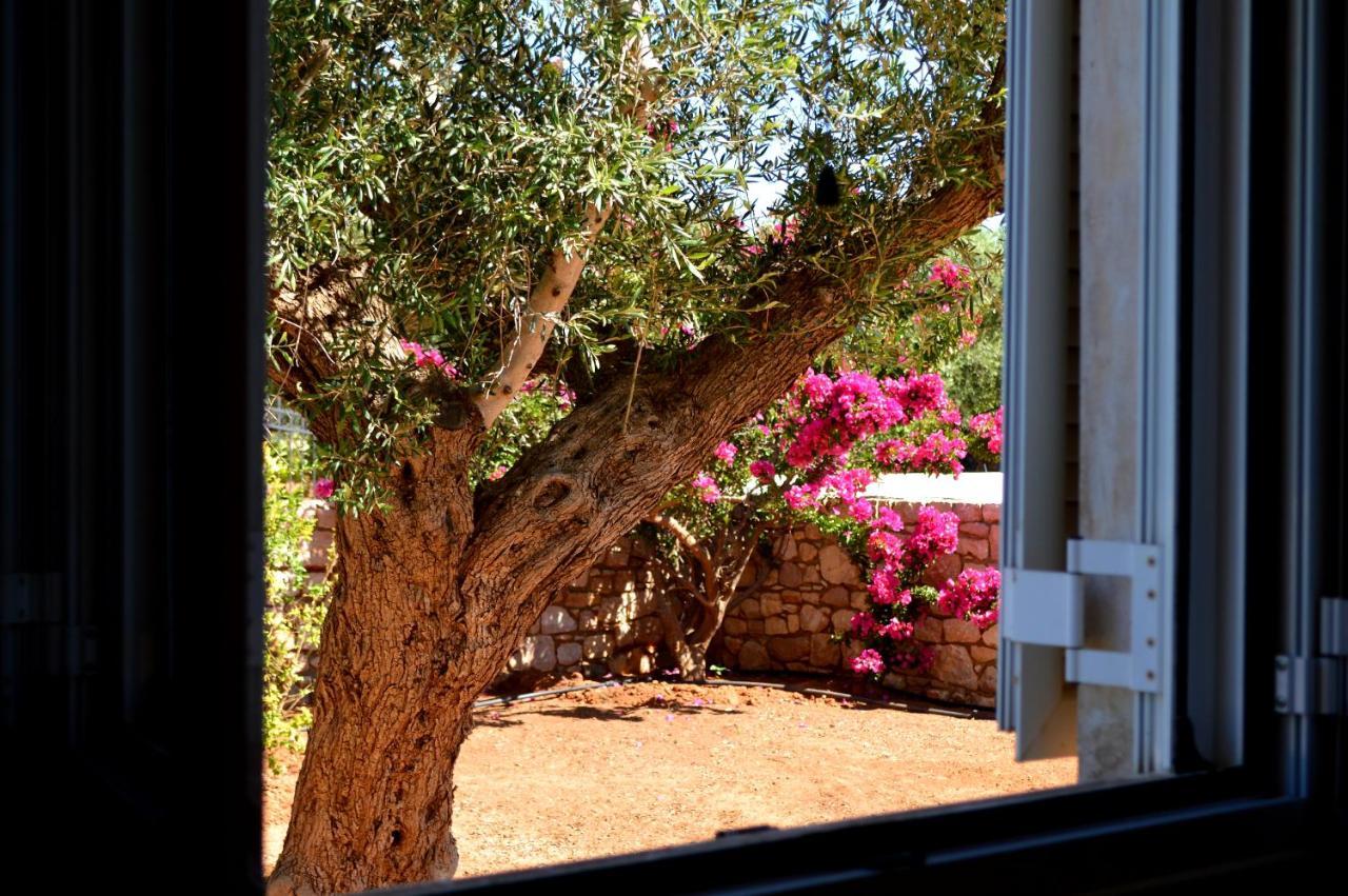Villa Stamatis Agii Apostoli  エクステリア 写真